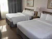 Piccadilly Inn Airport 3*