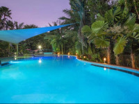 Oasis at Palm Cove