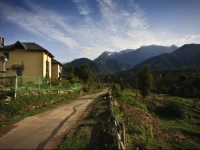 Seclude Palampur 2*