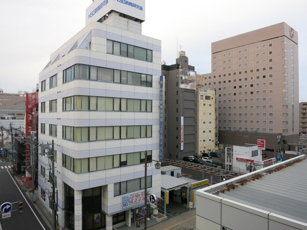 Niigata Daiichi Hotel 3*