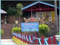 Dive Link 3*