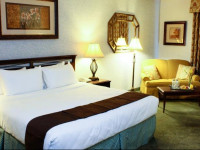 University Square Hotel