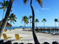 La Siesta Resort & Marina