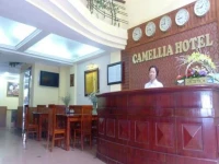 Camellia 3 