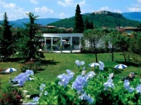 Mioni Pezzato 4*