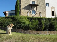 Castello di Fulignano 3*