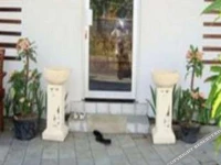 Energy Home Stay 