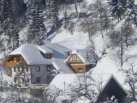 Gornik Apartments  