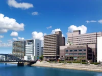 Numazu Riverside Hotel 4*
