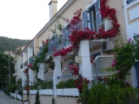 Louisa Apartments 