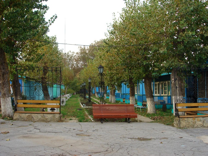 Белый лебедь база отдыха 