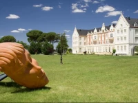 Balneario Palacio de las Salinas 3*