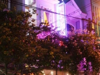 Hue Thuong 1*