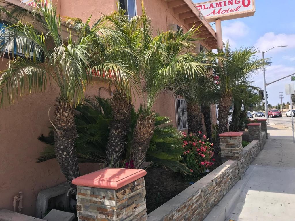 Flamingo Motel Oxnard 2*