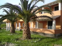 Dolfin Apartments and Studios 