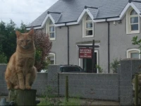 Bay Cottage Bed & Breakfast 3*