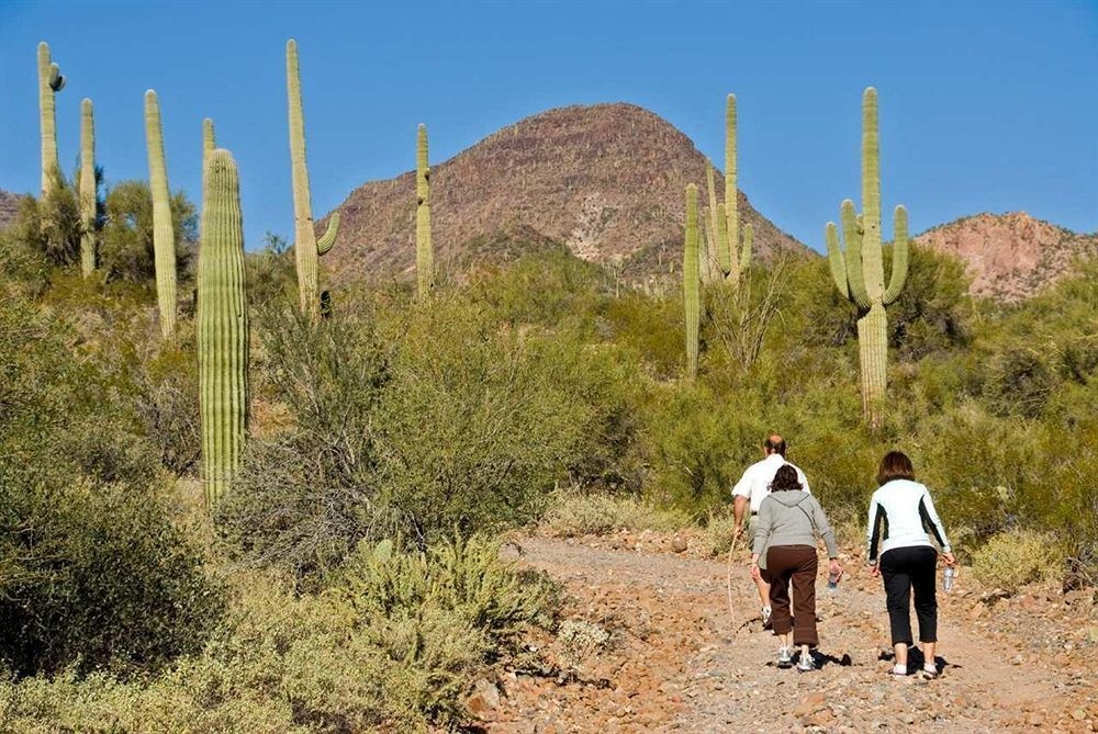 Hampton Inn Tucson-North 3*