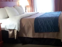 Comfort Inn Kalamazoo 2*