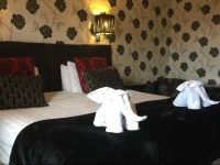 The Albert Inn 2*