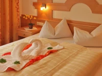Hotel Gisserhof 3*