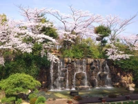 Okayama International Hotel 4*