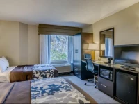 Sleep Inn Staunton 2*