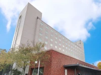Hotel Grand Terrace Chitose 3*