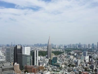 Park Hyatt Tokyo 5*