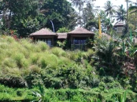 Kubu Carik, Tirtagangga 2*