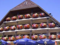 Schwarzwald Gasthof Sternen-Post 3*