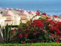 Red Sea Taj Mahal 5*