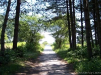 Bospark Garderen 3*