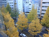 Hotel Hokke Club Sendai 3*