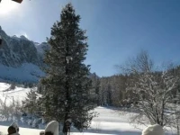 Garni Wolf 3*