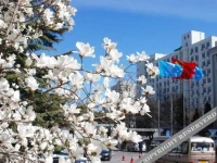 Guoyi Hotel 4*