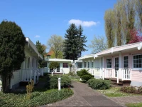 Hotel Dresden Domizil 3*