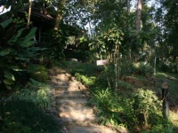 Villa Darakorn 4*