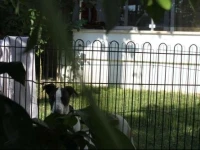 Aloria Garden Hotel 3*