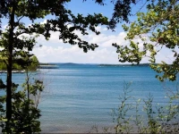 Red Bud Cove Bed and Breakfast Suites 3*