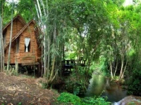 Rabeang Pasak Tree House Resort 2*