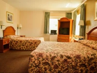 Econo Lodge at the Falls 1*