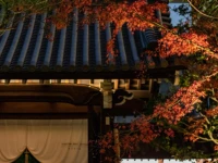 Kyoto Kokusai Hotel 4*