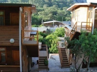 Turkmen Tree Houses 