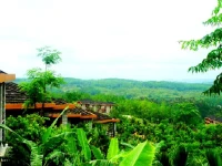 Paradise Rainforest Spa Resort 5*