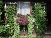 Gastehaus Spieker 3*