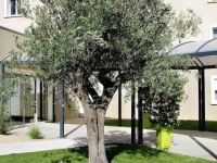 Hotel Le Caiman 2*