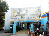 Orchidea 