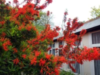 Medehamstede Hotel 1*