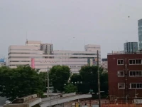 Hotel Ascent Plaza Hamamatsu 2*