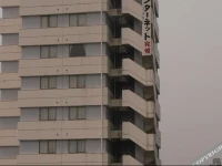 Kumamoto Station Hotel 3*